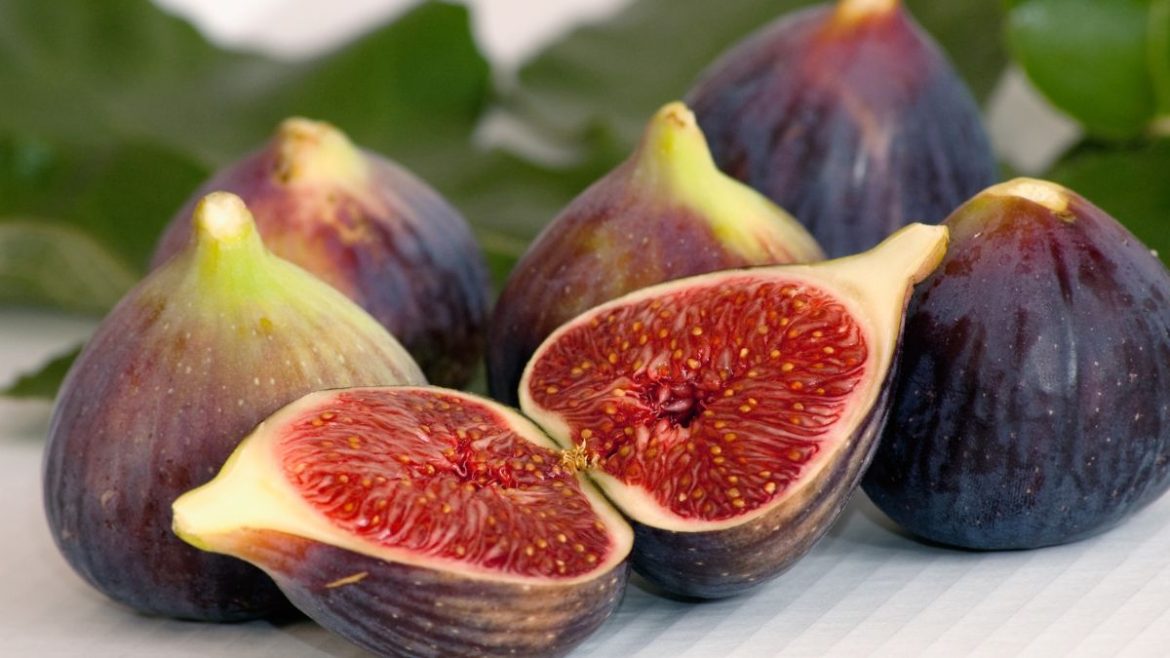 The Wonderful World Friday Fig: A Guide to Growing and Caring for Your Fig Plant