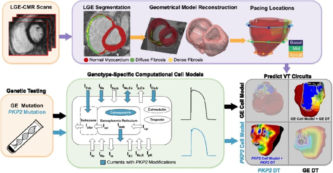 Harnessing the Power of Genetic Testing to Inform Cancer Treatment Plans